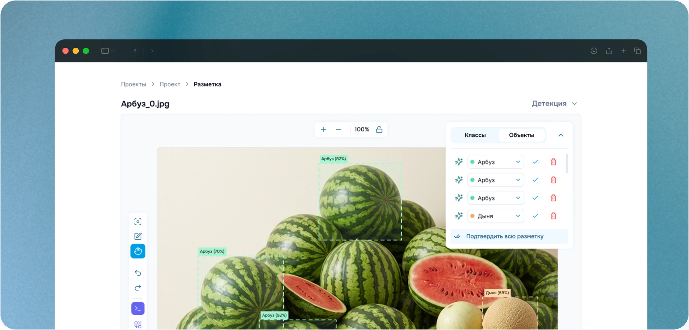 Интерфейс FocusML с разметкой арбузов на изображении